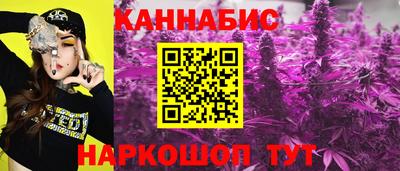 спиды Аргун