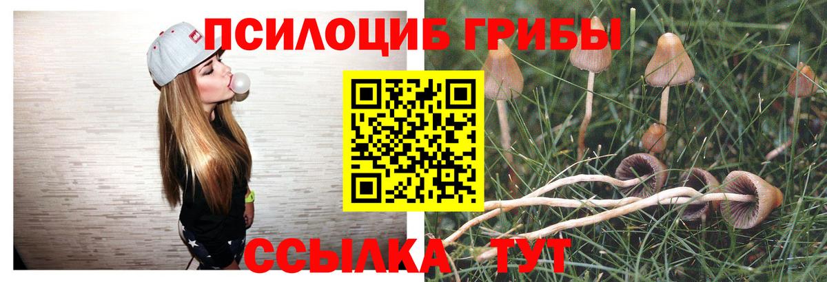 Псилоцибиновые грибы GOLDEN TEACHER Вязьма