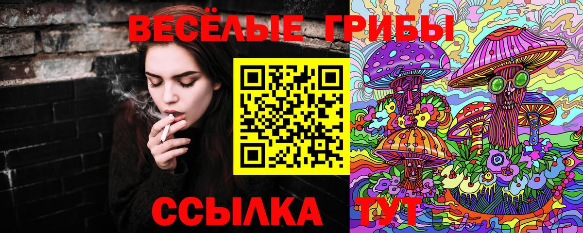 Галлюциногенные грибы прущие грибы  Галлюциногенные грибы Magic Shrooms  Вязьма  Вход с VPN 